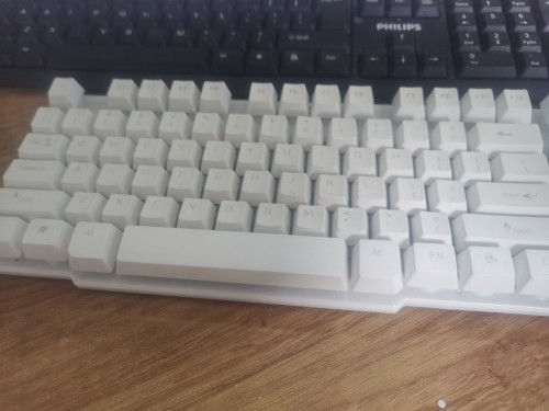 1687685416944.jpg